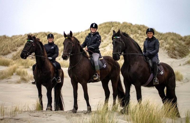 Paardrijden op het strand