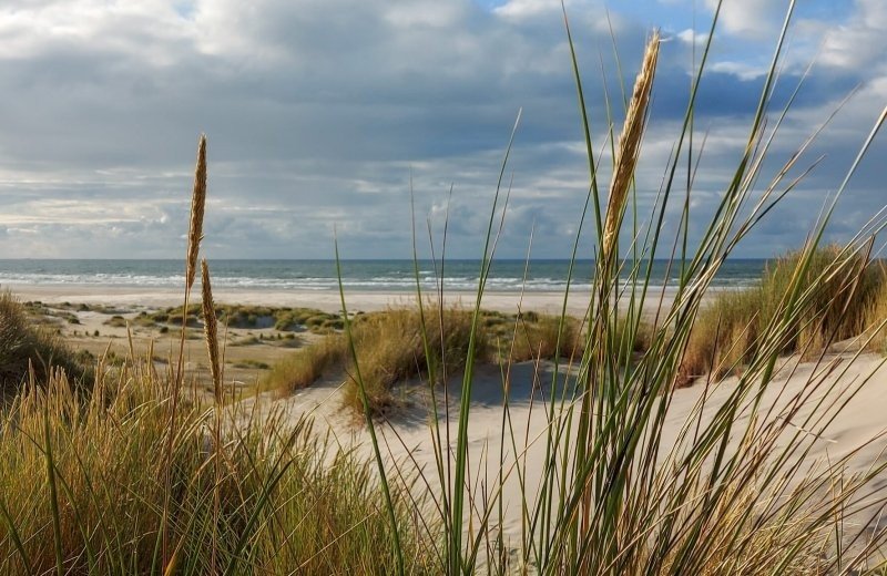 Strand zee en duinen 4