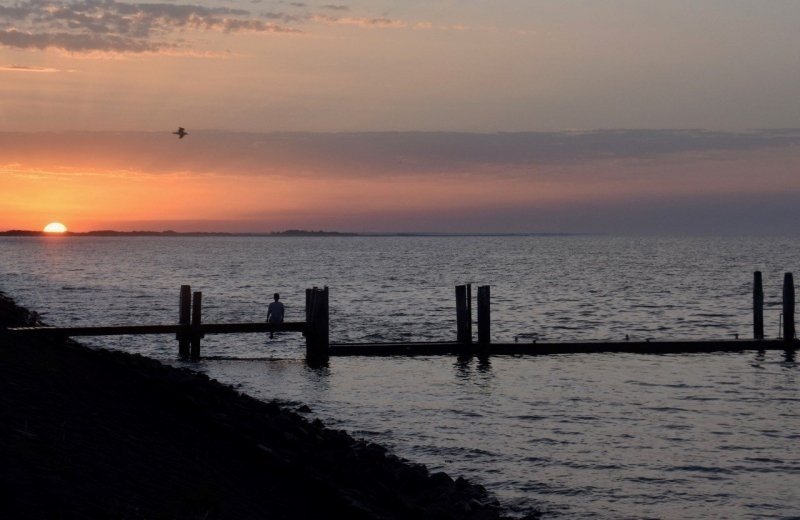 Strand, zee en duinen